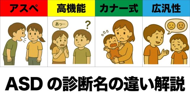 ASD（自閉スペクトラム症）とは？自閉症やアスペルガー症候群との「違い」を現役指導員が解説します